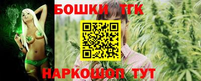 Альфа ПВП Моздок