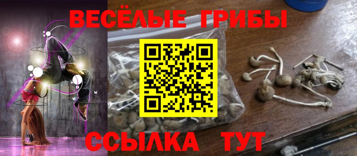 Псилоцибиновые грибы MAGIC MUSHROOMS Ставрополь