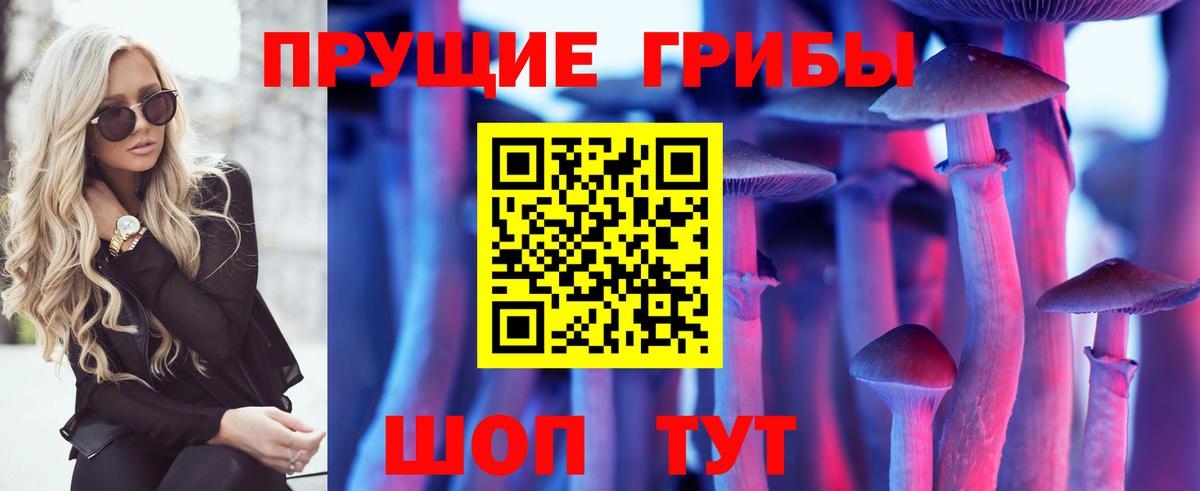 Галлюциногенные грибы GOLDEN TEACHER  Вход с VPN  Ставрополь 